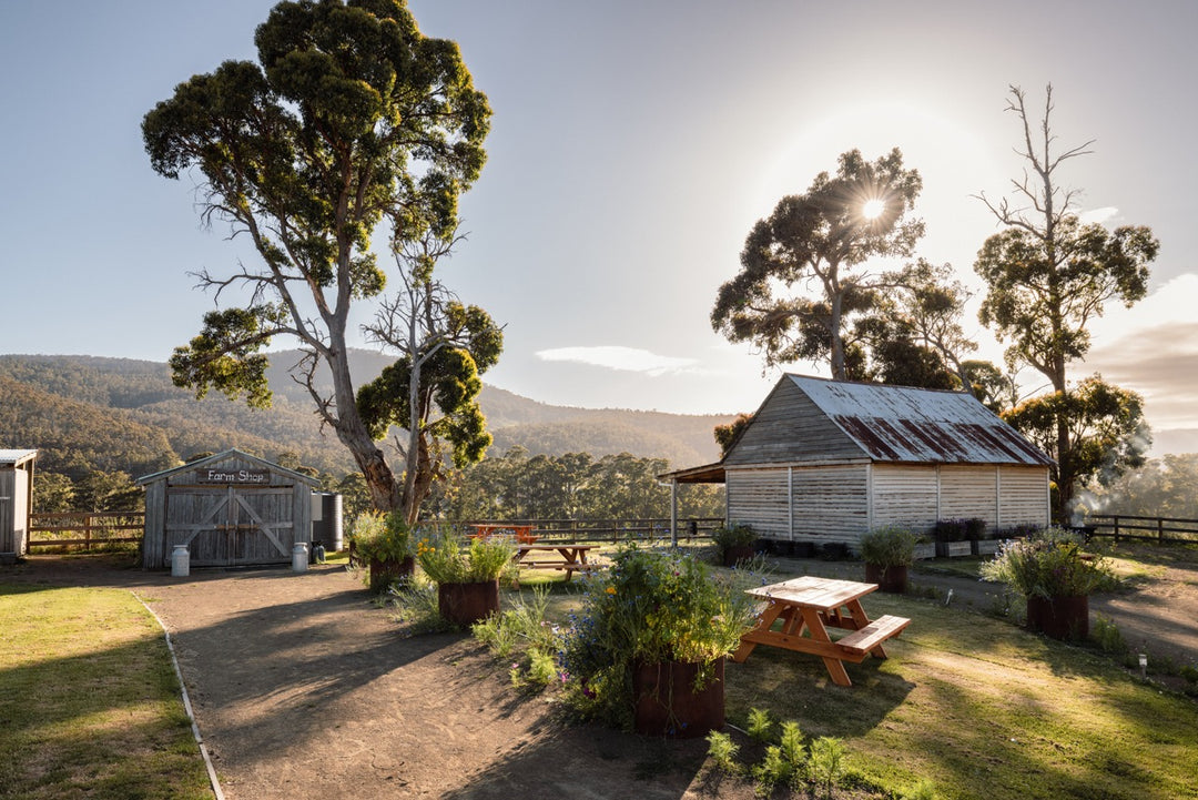 Glen Huon Dairy Farm Shop