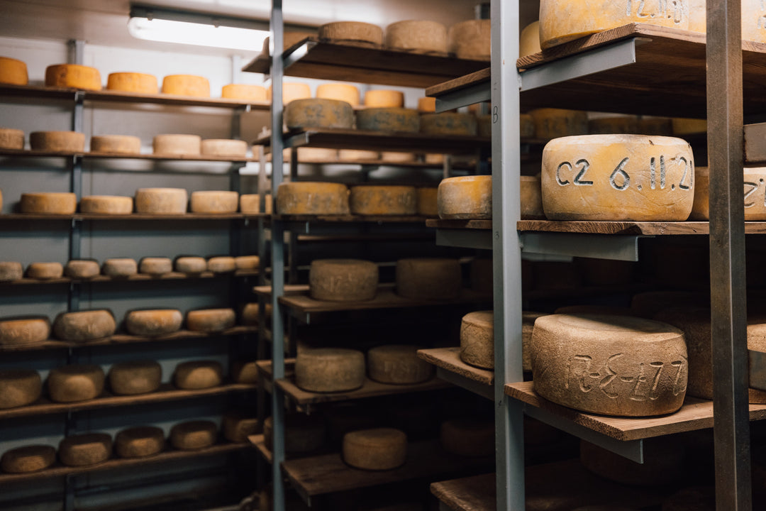 The Dark Art of Cheese Maturation