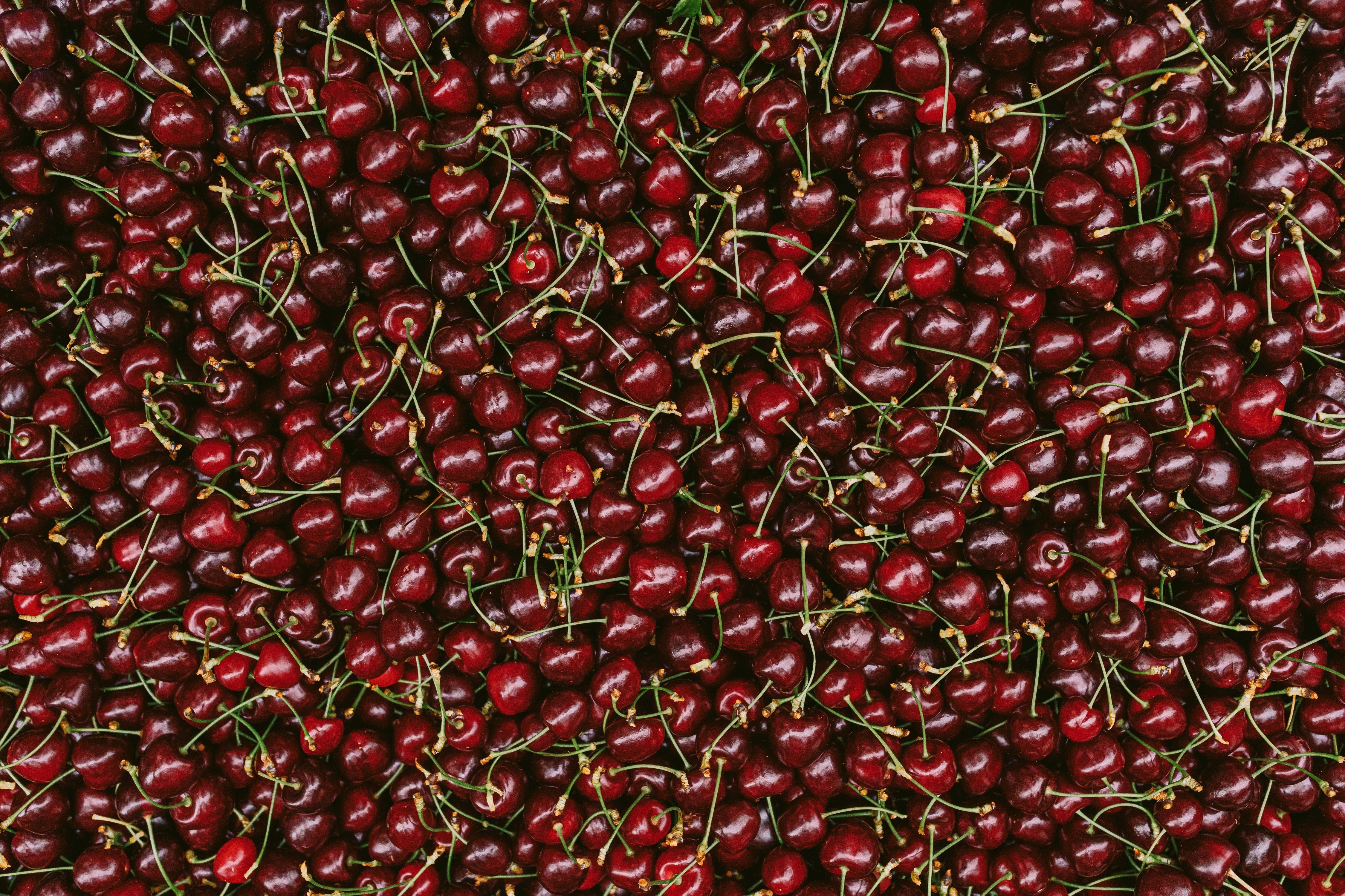 Our Favourite Tassie Products