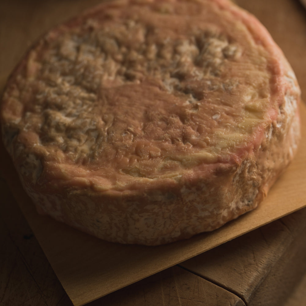 1792 Tasmanian cheese by Bruny Island Cheese Co. - additional product view